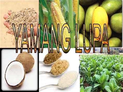 mga produkto halimbawa|Mga Yamang Lupa Sa Pilipinas .